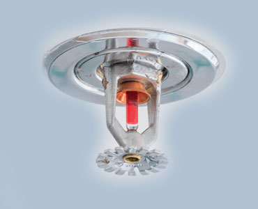 Service Image